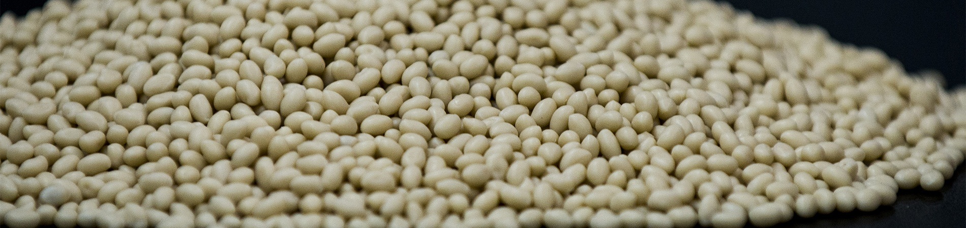 colas termofusíveis