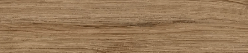 05-897X-orla-proadec