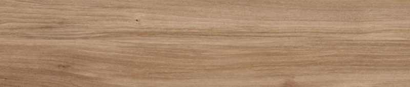 49-904Y-orla-proadec