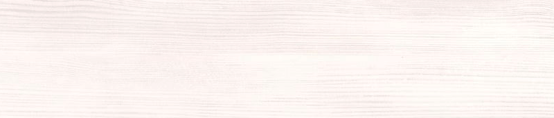 18-888Y-orla-proadec