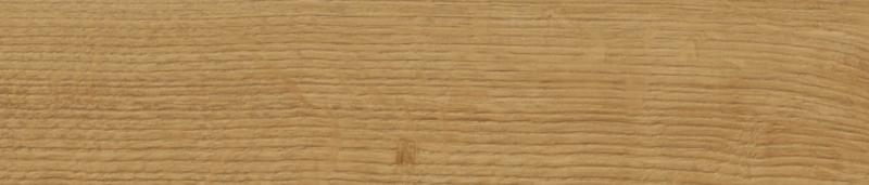 49-906Y-orla-proadec