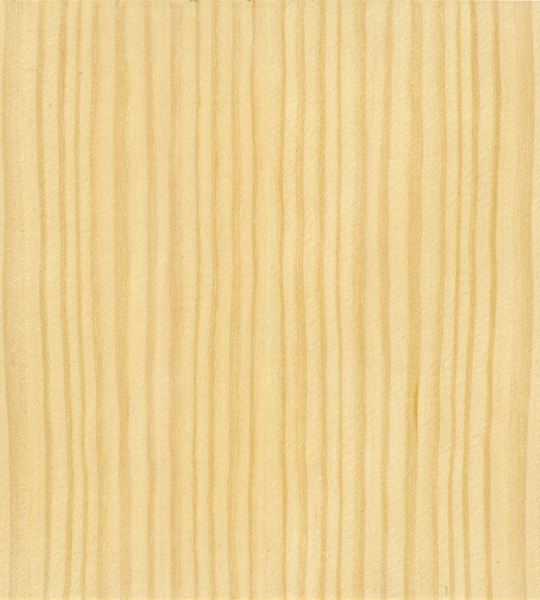 folha-de-madeira-natural-pinho-europeu